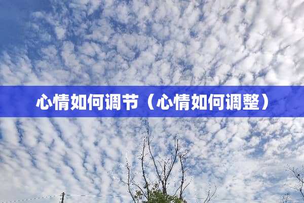 心情如何调节（心情如何调整）