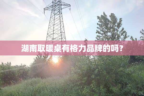 湖南取暖桌有格力品牌的吗？