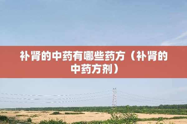 补肾的中药有哪些药方（补肾的中药方剂）