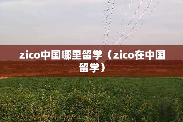 zico中国哪里留学（zico在中国留学）
