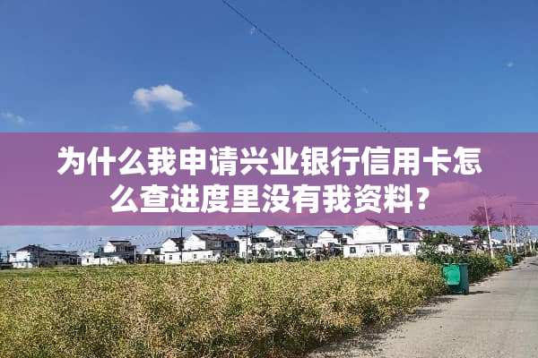 为什么我申请兴业银行***怎么查进度里没有我资料？