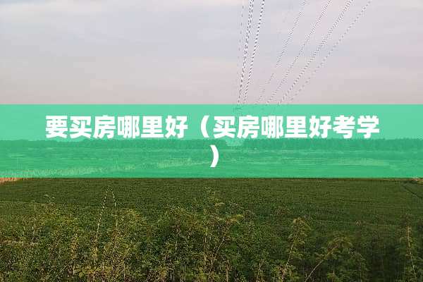 要买房哪里好（买房哪里好考学）