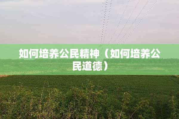 如何培养公民精神（如何培养公民道德）