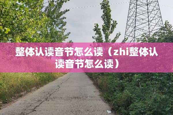整体认读音节怎么读（zhi整体认读音节怎么读）