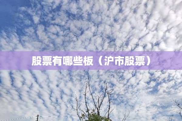 股票有哪些板（沪市股票）