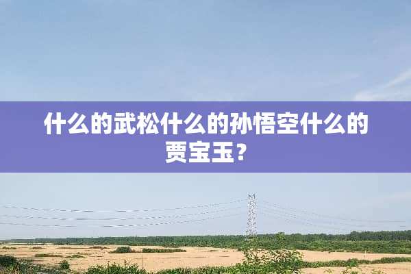 什么的武松什么的孙悟空什么的贾宝玉？