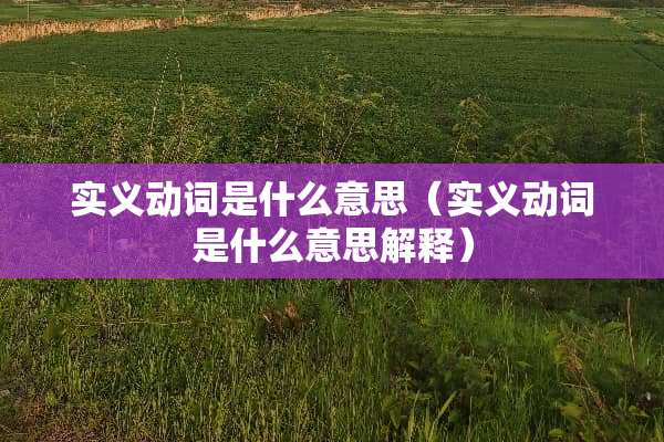 实义动词是什么意思（实义动词是什么意思解释）