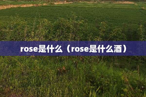 rose是什么（rose是什么酒）