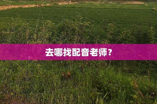 去哪找配音老师？