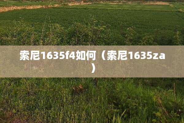 索尼1635f4如何（索尼1635za）