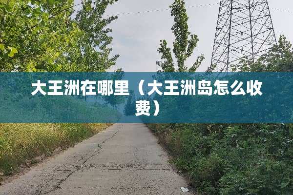 大王洲在哪里（大王洲岛怎么收费）