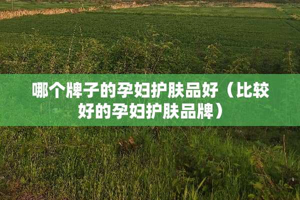 哪个牌子的孕妇护肤品好（比较好的孕妇护肤品牌）