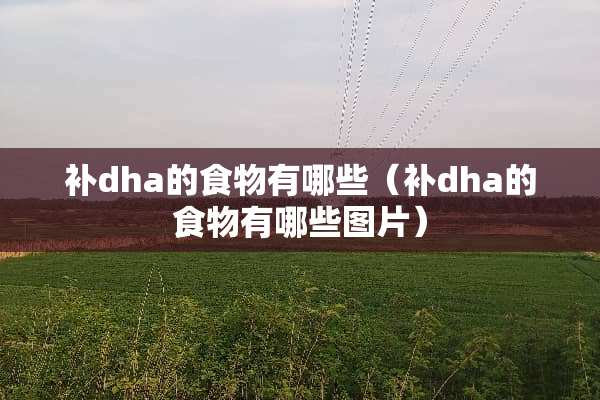 补dha的食物有哪些（补dha的食物有哪些图片）