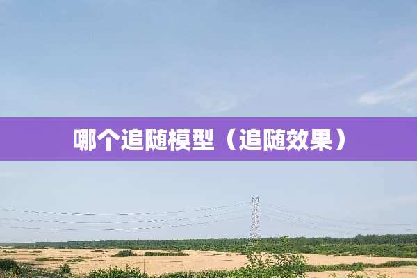 哪个追随模型（追随效果）