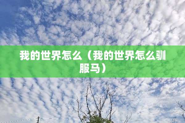 我的世界怎么（我的世界怎么驯服马）
