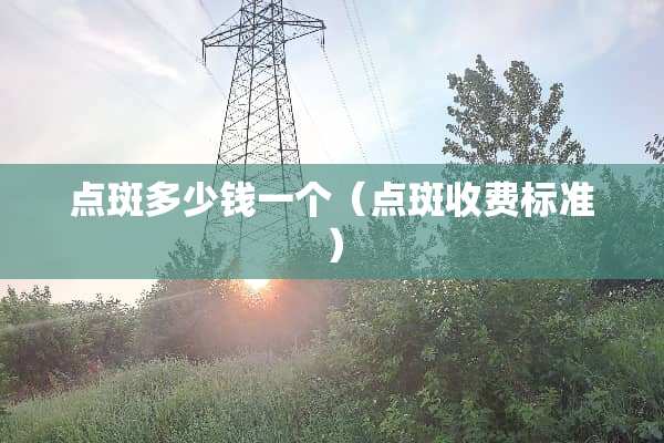点斑多少钱一个（点斑收费标准）