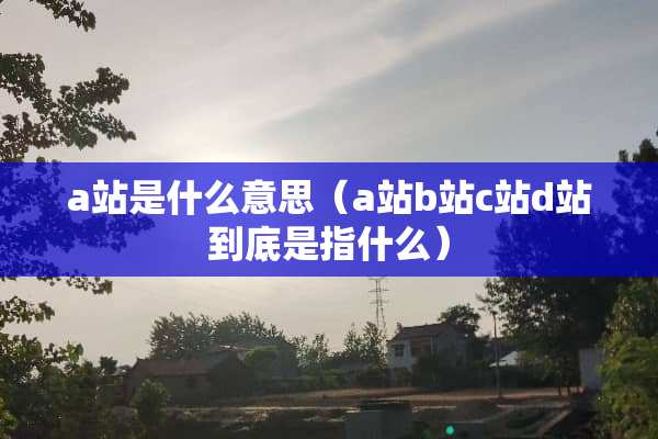 a站是什么意思（a站b站c站d站到底是指什么）