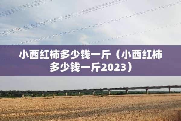 小西红柿多少钱一斤（小西红柿多少钱一斤2023）