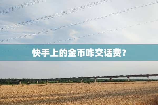 快手上的金币咋交话费？