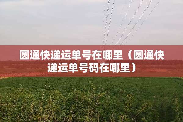 圆通快递运单号在哪里（圆通快递运单号码在哪里）