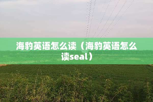 海豹英语怎么读（海豹英语怎么读seal）