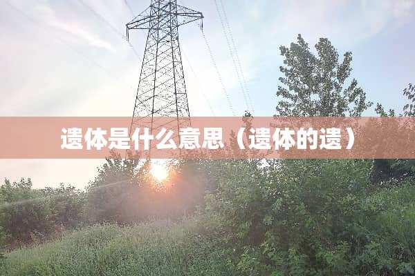 遗体是什么意思（遗体的遗）