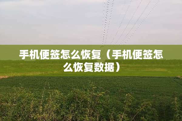 手机便签怎么恢复（手机便签怎么恢复数据）