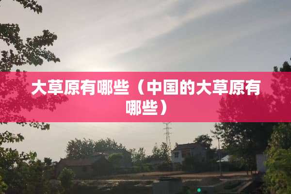 大草原有哪些（中国的大草原有哪些）