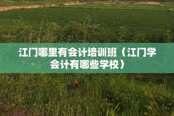 江门哪里有会计培训班（江门学会计有哪些学校）