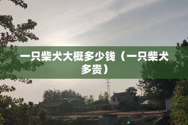 一只柴犬大概多少钱（一只柴犬多贵）
