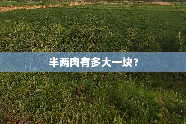 半两肉有多大一块？