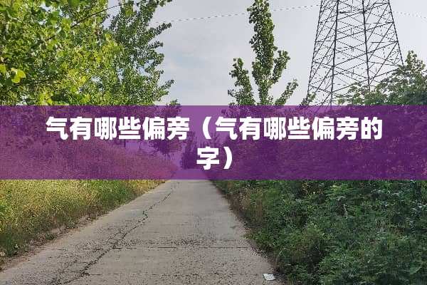 气有哪些偏旁（气有哪些偏旁的字）