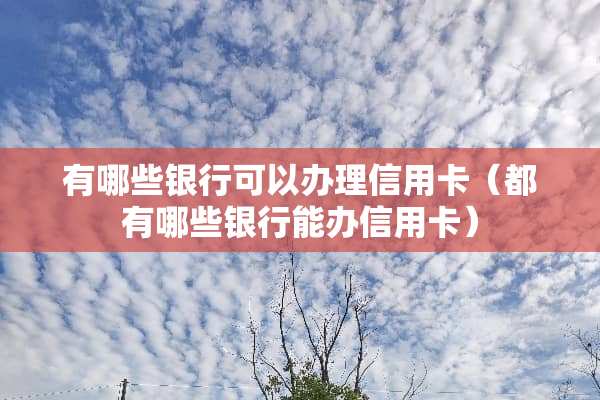 有哪些银行可以办理信用卡（都有哪些银行能办信用卡）
