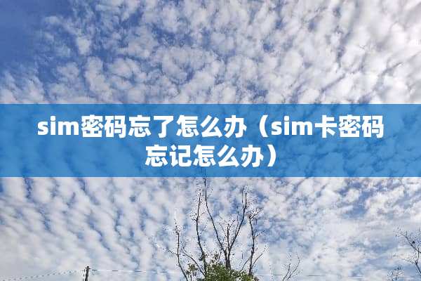 sim密码忘了怎么办（sim卡密码忘记怎么办）