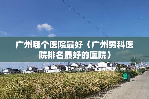 广州哪个医院最好（广州男科医院排名最好的医院）