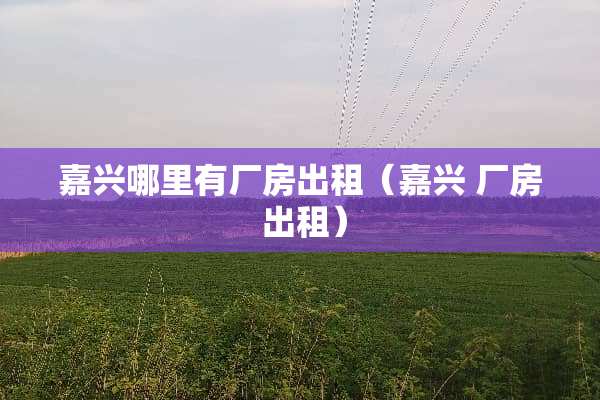 嘉兴哪里有厂房出租（嘉兴 厂房 出租）