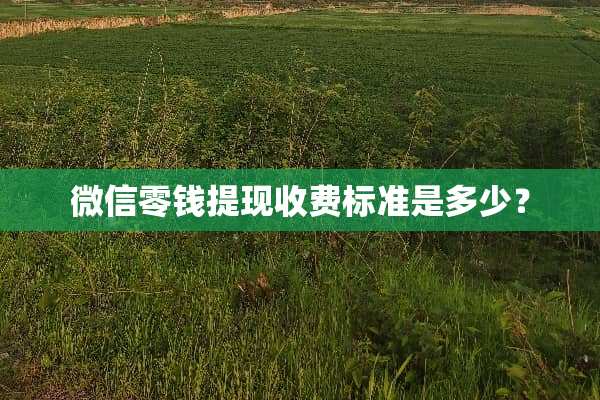微信零钱提现收费标准是多少？