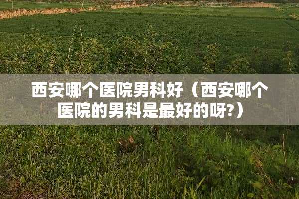 西安哪个医院男科好（西安哪个医院的男科是最好的呀?）