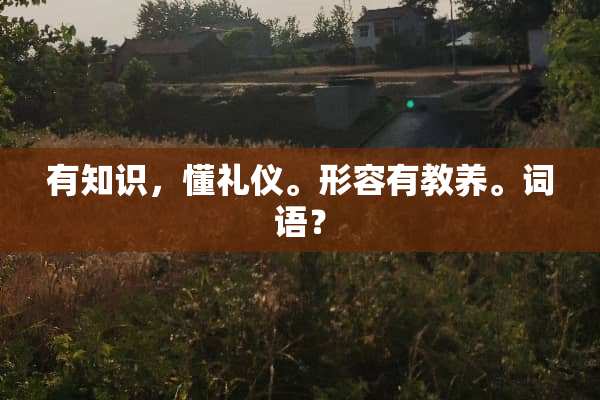 有知识，懂礼仪。形容有教养。词语？