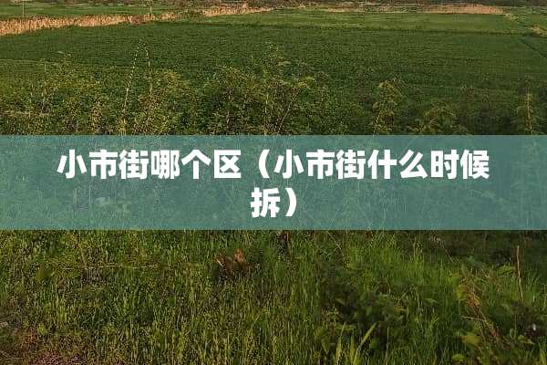 小市街哪个区（小市街什么时候拆）