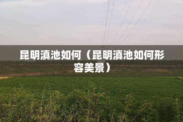 昆明滇池如何（昆明滇池如何形容美景）