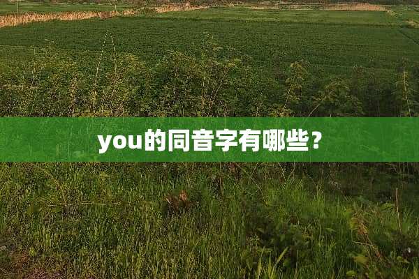 you的同音字有哪些？