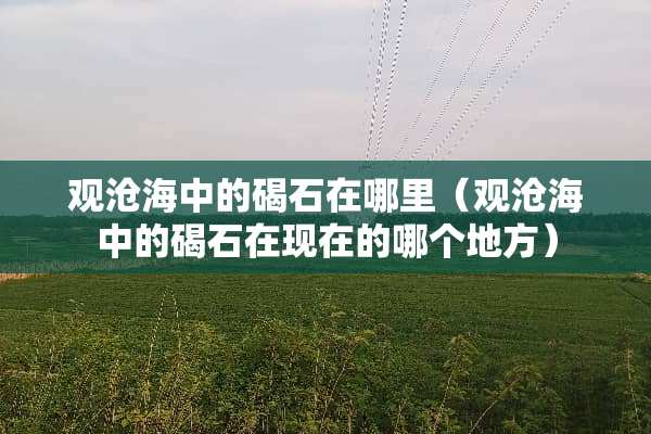 观沧海中的碣石在哪里（观沧海中的碣石在现在的哪个地方）