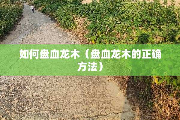 如何盘血龙木（盘血龙木的正确方法）