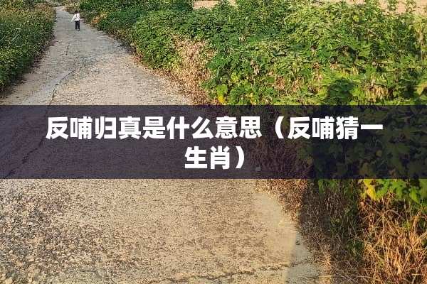 反哺归真是什么意思（反哺猜一生肖）
