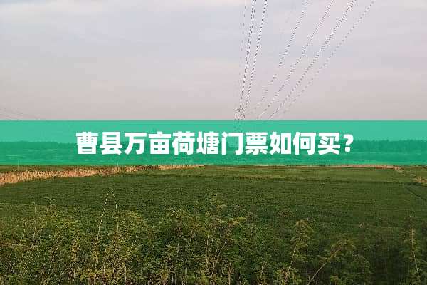 曹县万亩荷塘门票如何买？