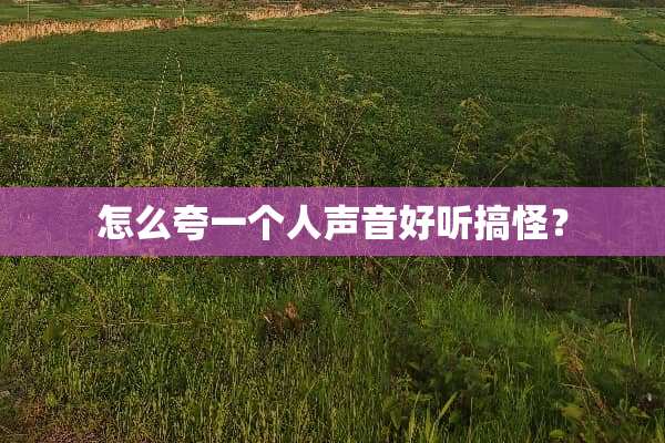 怎么夸一个人声音好听搞怪？