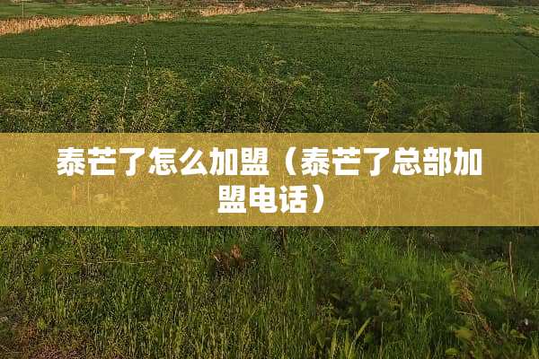 泰芒了怎么加盟（泰芒了总部加盟电话）