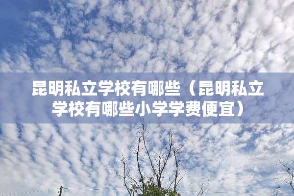 昆明私立学校有哪些（昆明私立学校有哪些小学学费便宜）