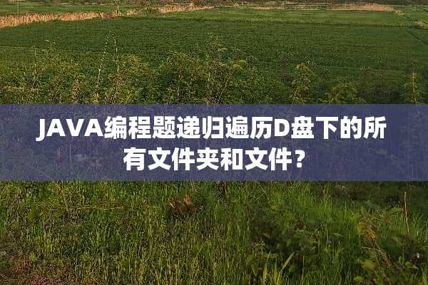 JAVA编程题递归遍历D盘下的所有文件夹和文件？